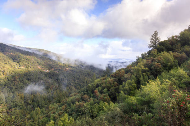 istock Views above Uvas Canyon after Storm Clears 1448455577