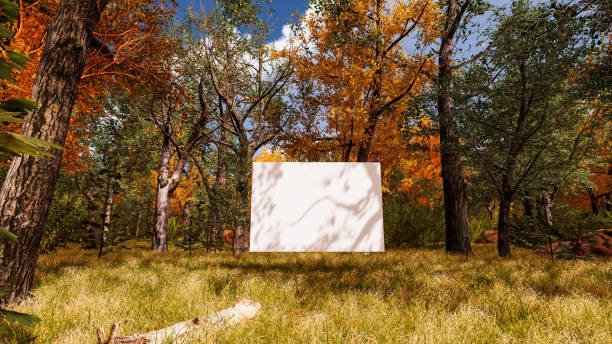 istock Graphic resources for sustainable development goals, biodiversity, a growing economy and ecology. 3D render with bilboard and canvas 1448456911