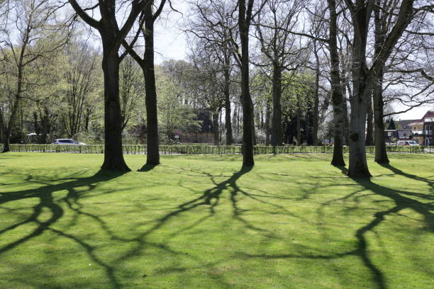 April 16, 2022, Bad Zwischenahn: Sunny spring day in the spa park of Bad Zwischenahn