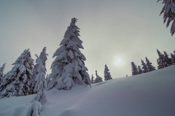 istock Cloudy weather in mountains landscape 1448460016
