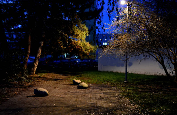 istock backlighting of stones placed on the pavement. it forms a barrier as well as an interesting architectural element. supplementing the crown of the tree with a light chain with LED bulbs. lawn, yard 1448460761