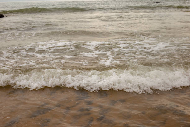 istock Soft wave of sea on sandy beach. 1448461699