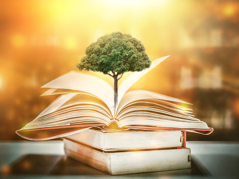 a tree growing on a book in a library\nLearning from the past into the future