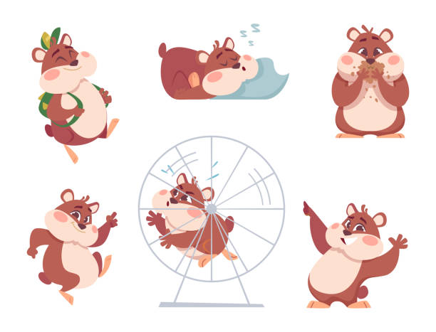 istock Hamster characters. Funny domestic fluffy animals in action poses home swanky pets exact vector cartoon hamsters 1448468338