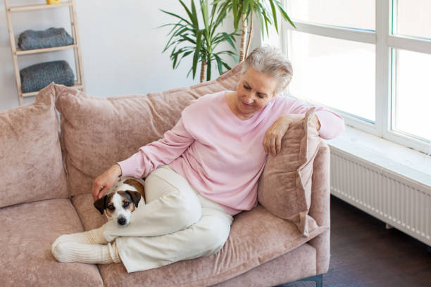 istock Smiling middle aged mature grey haired woman at home 1448468441