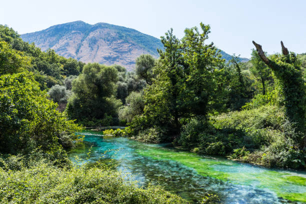 istock Blue eye spring near Sarande, Albania 1448468683
