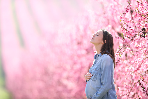 Pregnant woman breathing fresh air in a pink field