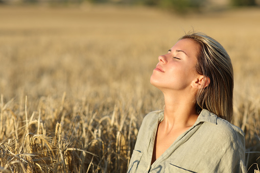 Woman breathing fresh air in a golden wheat field