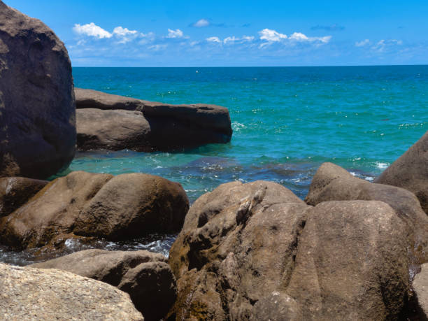istock Horseshoe Bay Beach - Whitsundays, Queensland Australia 1448472157