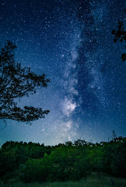 istock Milky way glowing over wood 1448473516