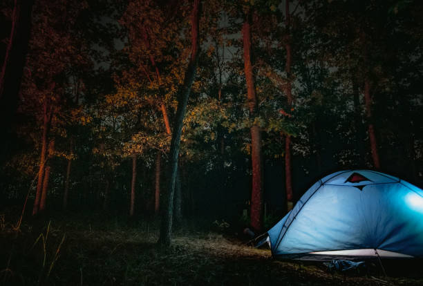 istock Tent standing in wood for night 1448473523