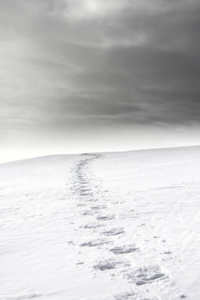 Footprints on the snow slope leading to the horizon.