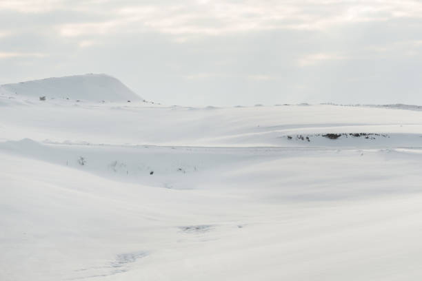 istock Winter landscape, hills covered in white snow 1448475004
