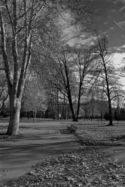 Photo of Tranquil Scene from the Public Park - Cair in city of Nis, Serbia, in black and white photographic technique (Picture No 01)