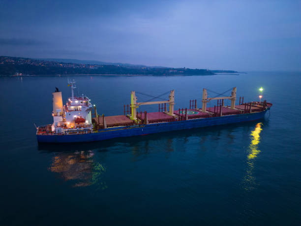 istock Aerial view cargo bulk carrier ship on the sea at night 1448477710