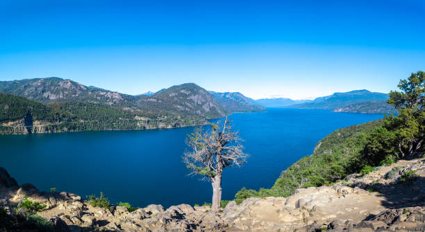 lacar lake is a lake of glacial origin in san martin de los andes. The area around the lake is mostly uninhabited. panoramic view of lacar lake, one of the seven that are located at san martin de los andes, argentina lácar lake photos stock pictures, royalty-free photos & images