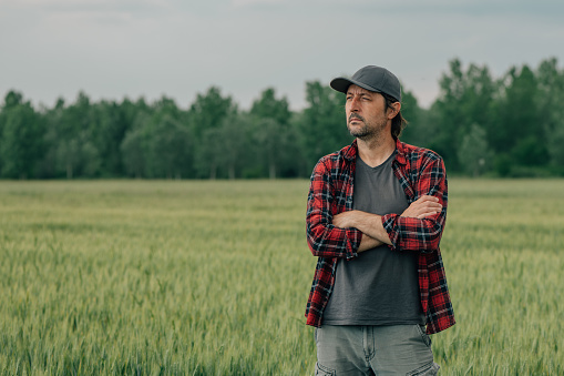Wheat farmer agronomist standing in cultivated cereal crops agricultural field with arms crossed and looking into distance with uncertain face expression worried about bad condition his crops are in