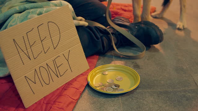 Money is getting put into a beggar's plate with a dog nearby