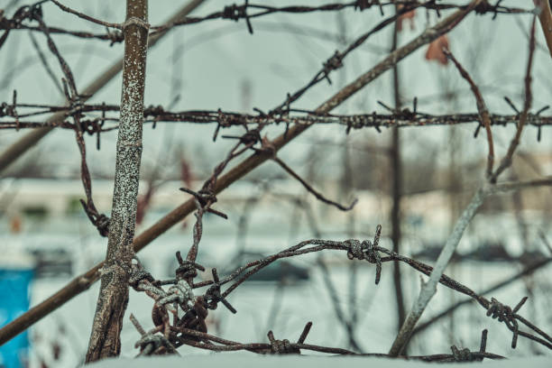 istock Old barbed wire on a concrete fence large with snow in winter close-up Selective focus 1448480802