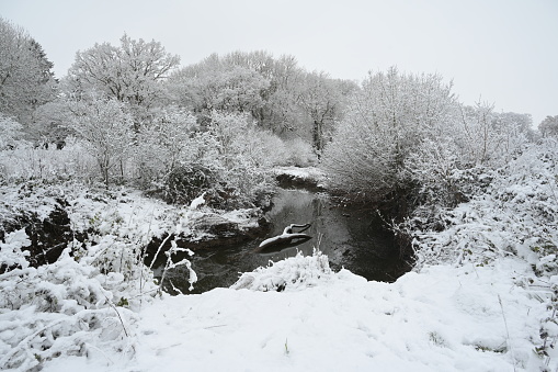 A cold, dull snow covered morning in Horley, Surrey by the River Mole on 12 Dec 2022.