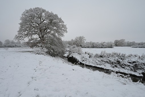 A cold, dull snow covered morning in Horley, Surrey by the River Mole on 12 Dec 2022.