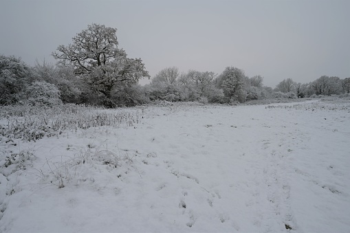 snow covered English landscape on a dull morning on 12th Dec 2022.