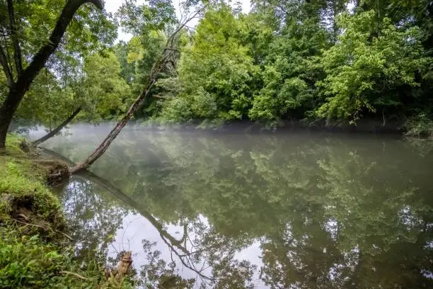 A large refreshing flow of water with a peaceful view of the lake