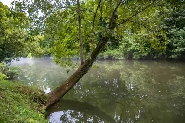 A large refreshing flow of water with a peaceful view of the lake