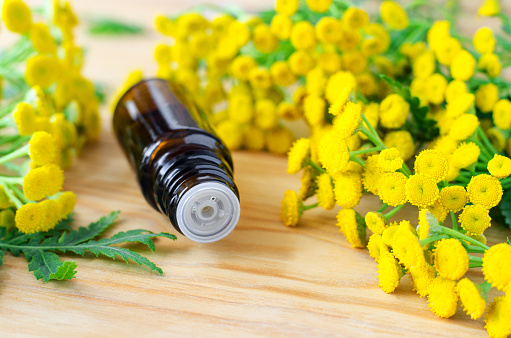 Small glass bottle with essential blue tansy oil. Aromatherapy, homemade spa and herbal medicine ingredients. Wooden background. Copy space, selective focus.