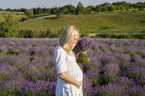 beautiful blonde pregnant woman in white dress in lavender field, expectant mother holds purple flower bouquet and touches her belly. Healthy pregnancy, pretty young mother to be