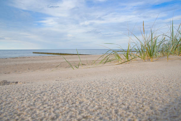 Autumn on the Baltic Sea coast, dunes, grass, beach, white sand, harbor breakwater, Rewal, Poland.