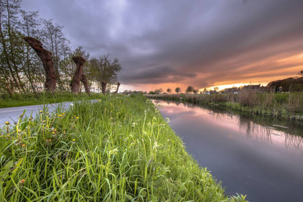 Polder Countryside Landscape in Groningen Province, Netherlands. With River, Road, Riverbank and Pollard Willows at sunset.