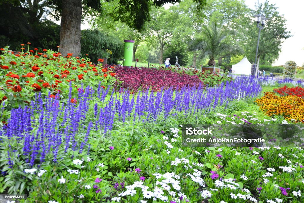 Beautiful and colorful annual flower garden, Grugapark Germany Beautiful and colorful annual flower garden, Grugapark Germany. High quality photo Flower Stock Photo