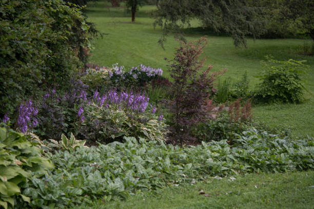 istock Floral border at a garden 1448493353