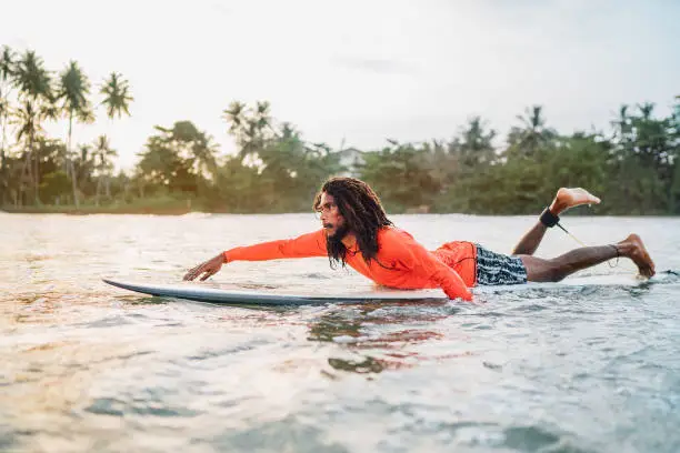 Photo of Black long-haired man paddling on long surfboard to the surfing spot in Indian ocean. Palm grove litted sunset rays in the background. Extreme water sports and traveling to exotic countries concept.