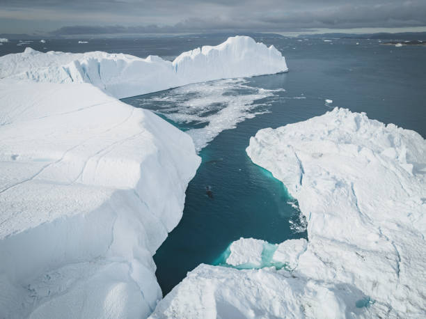 istock Big icebergs floating from aerial view 1448505701