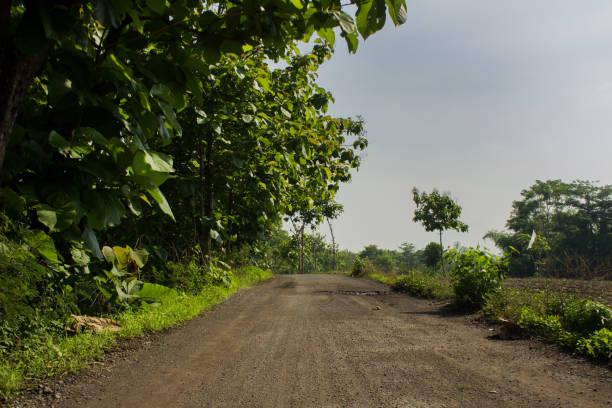 istock Sandy road on the mountain 1448506323