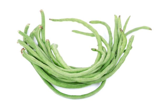 Long bean or cowpea isolated on white background.