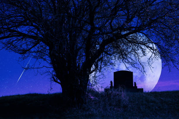 istock Lonely grave with oak tree under starry and Moonlit night. 1448507282