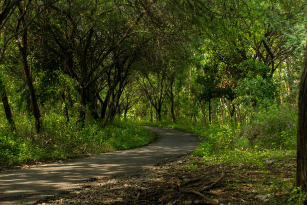 istock The road is winding and uphill 1448508237