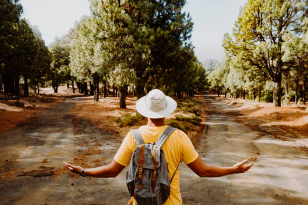 excursionista con pantalones cortos y sin zapatos se para en el bosque y no sabe cuál es el camino correcto - decisions nature road street fotografías e imágenes de stock