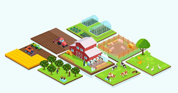 Isometric vector of an agricultural farm buildings, barn, orchard, grain harvest, animals and farmers