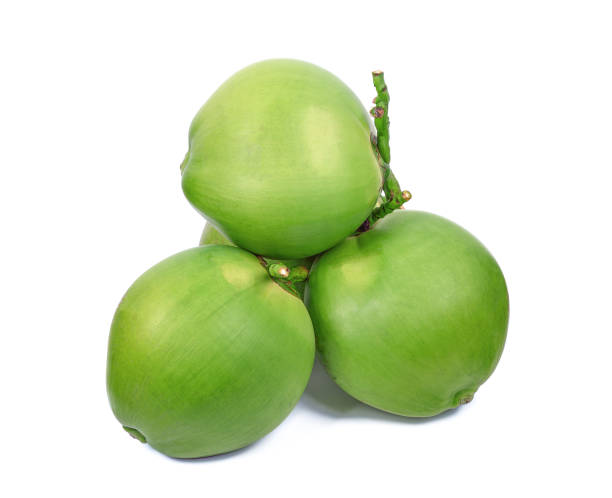 istock Green coconut fruit isolated on white background 1448510987
