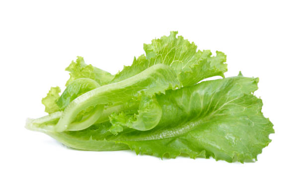 istock Salad leaf. Lettuce isolated on white background 1448511810