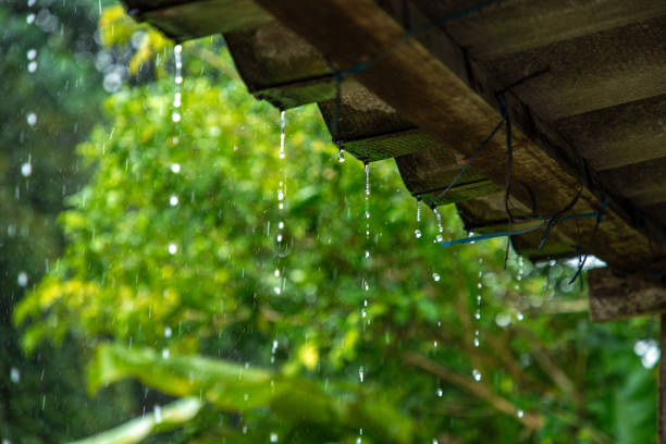 istock Raining on roof home,Raindrops fall continuously with blur green nature background. 1448515126