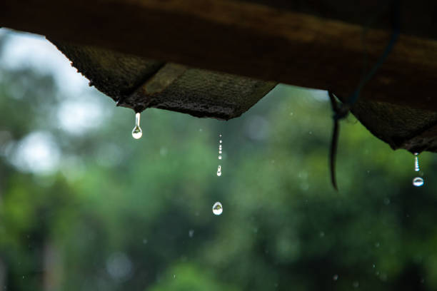 Raining on roof home,Raindrops fall continuously with blur green nature background. stock photo