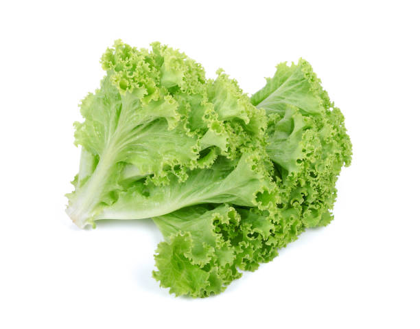 istock Salad leaf. Lettuce isolated on white background 1448517126