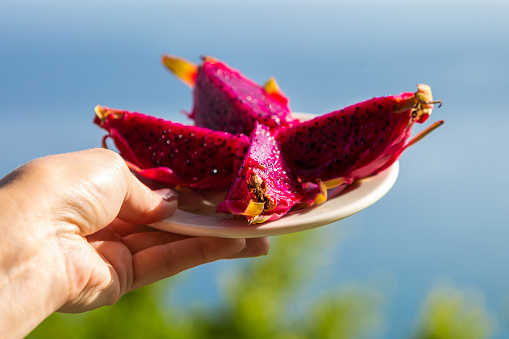 Pitahaya pitahaya dragon fruit is the fruit of an epiphytic vine-like or tree-like cactus from the genus. Tropical fruit in a female hand on the background of the sea.