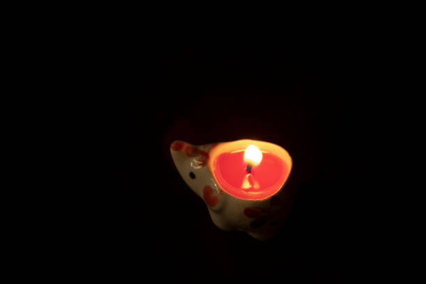 The light from the elephant candle was burning.