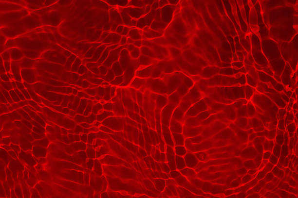 Defocus blurred transparent red colored clear calm water surface texture with splashes and bubbles. Trendy abstract nature background. Water waves in sunlight with copy space. Red watercolor shining